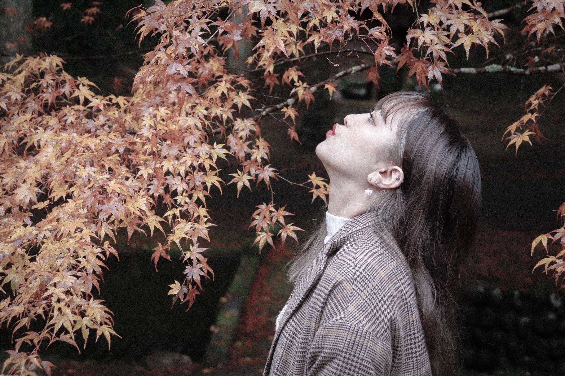 紅葉の終わり